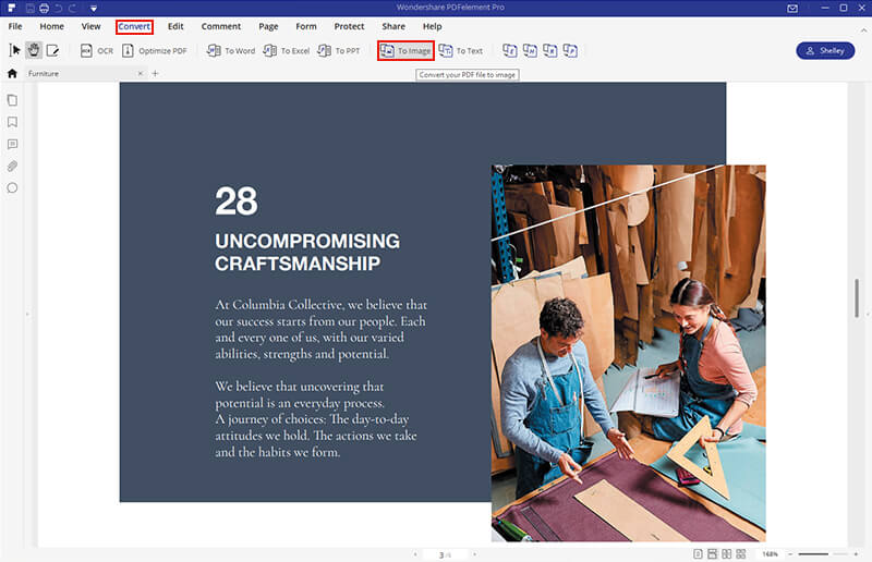 pdf to image